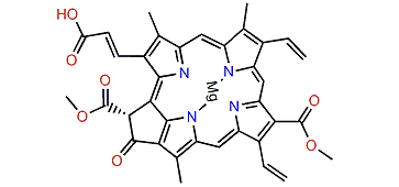 Chlorophyll c3